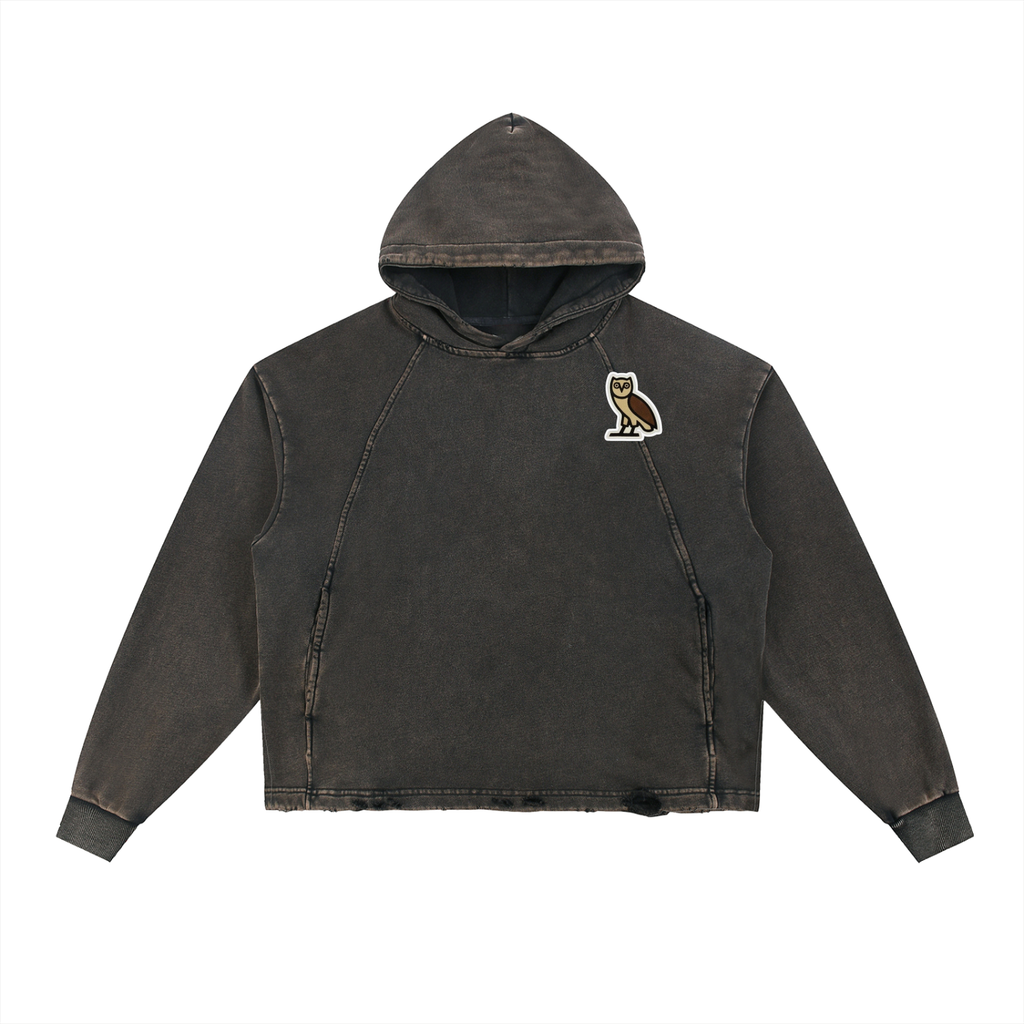 Drake Lyrics - Vintage Washed Frayed-Hem Hoodie