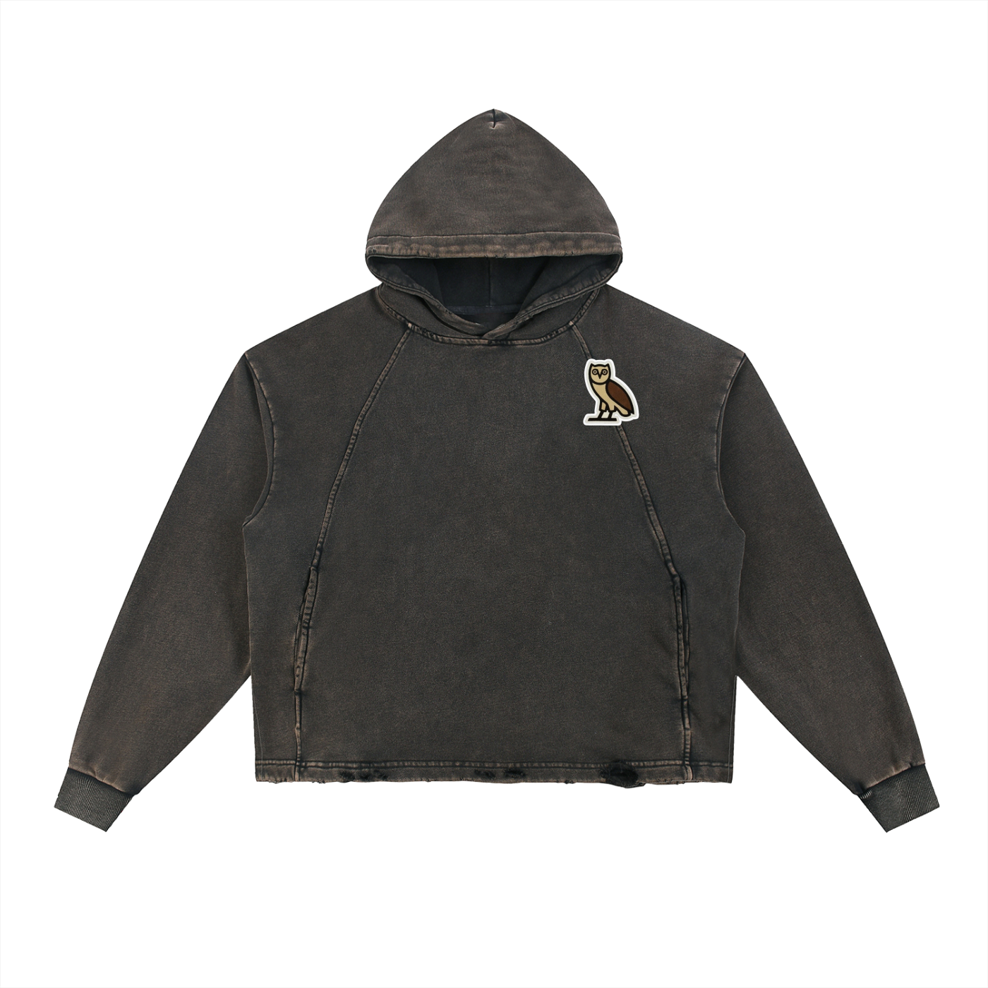 Drake Lyrics - Vintage Washed Frayed-Hem Hoodie